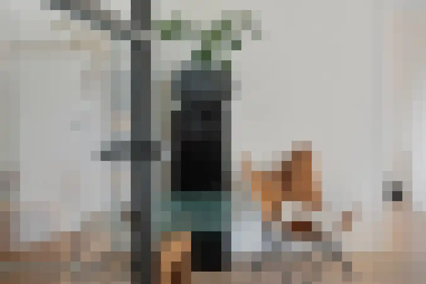 Monnikensteeg 312 Arnhem thumbnail 8