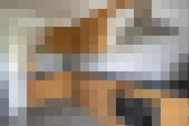 Monnikenstraat 12 Gaanderen thumbnail 12