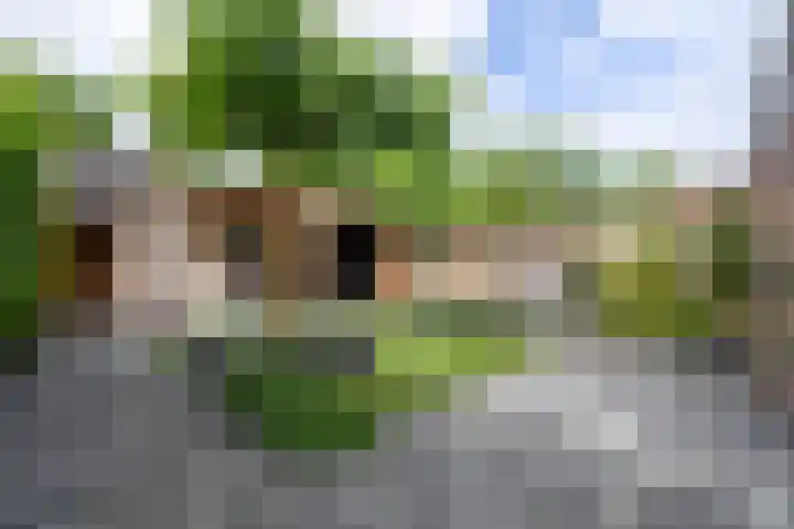 Monnikenstraat 12 Gaanderen thumbnail 14