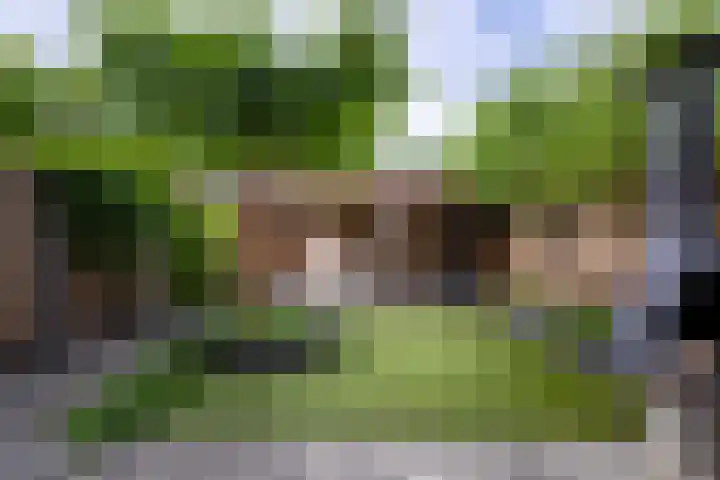 Monnikenstraat 12 Gaanderen thumbnail 15