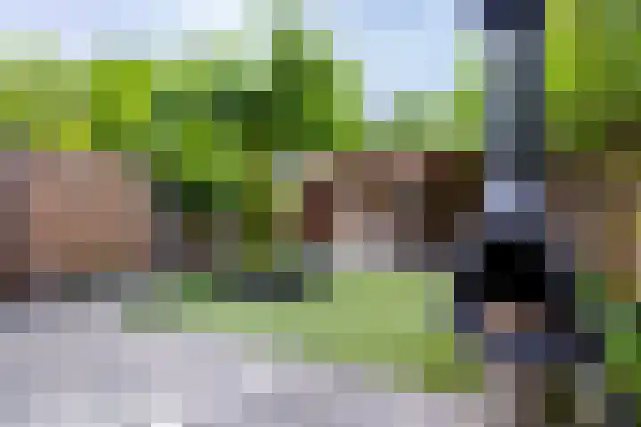 Monnikenstraat 12 Gaanderen thumbnail 16