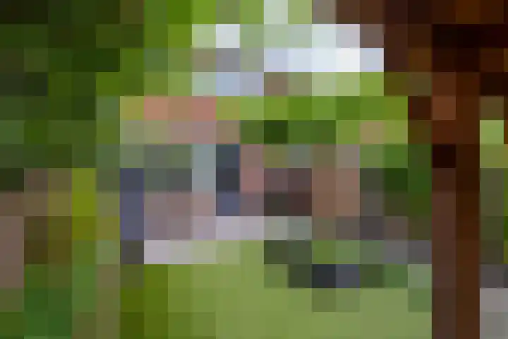 Monnikenstraat 12 Gaanderen thumbnail 18