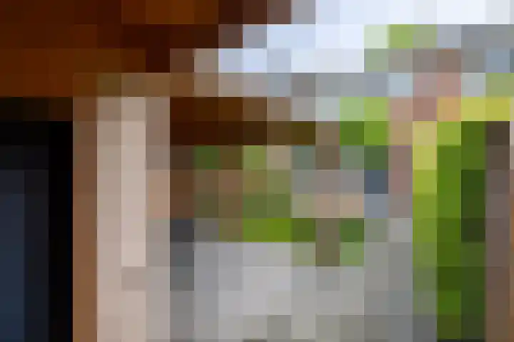 Monnikenstraat 12 Gaanderen thumbnail 19