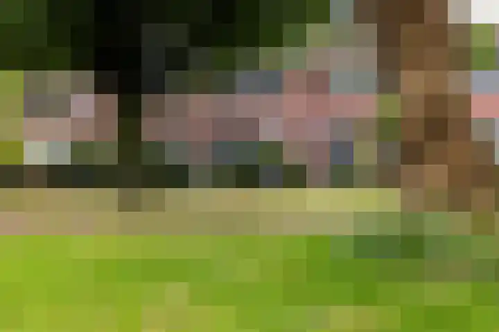 Monnikenstraat 12 Gaanderen thumbnail 22