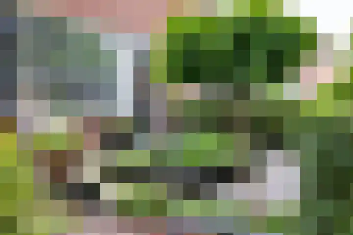 Monnikenstraat 12 Gaanderen thumbnail 23