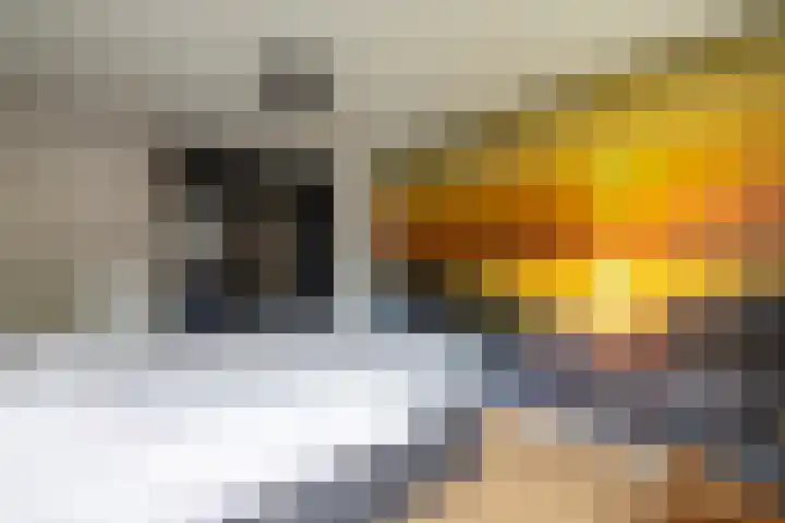 Monnikenstraat 12 Gaanderen thumbnail 32