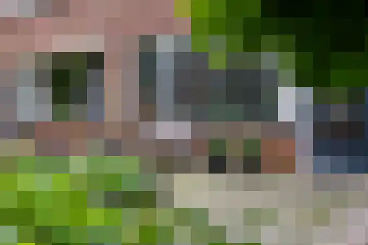 Monnikenstraat 12 Gaanderen thumbnail 49