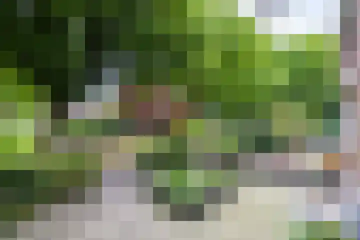 Monnikenstraat 12 Gaanderen thumbnail 50