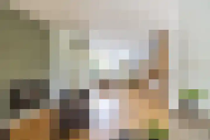 Monnikenstraat 12 Gaanderen thumbnail 7