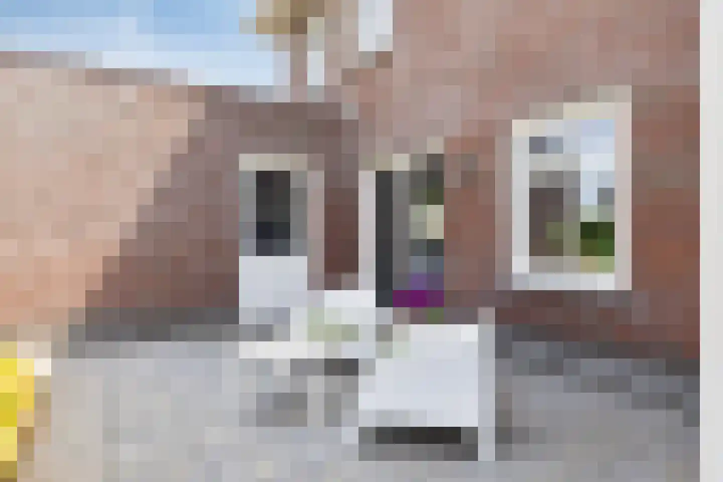 Monnikenstraat 17 Kloosterzande thumbnail 47