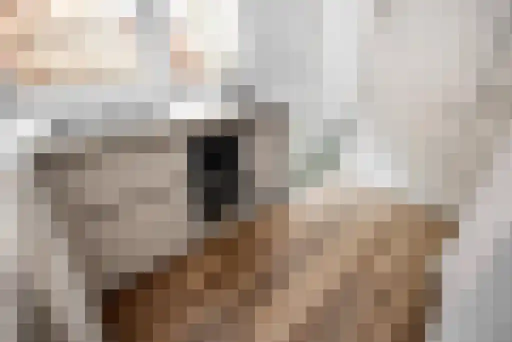 Monnikenstraat 18 1 Amsterdam thumbnail 5