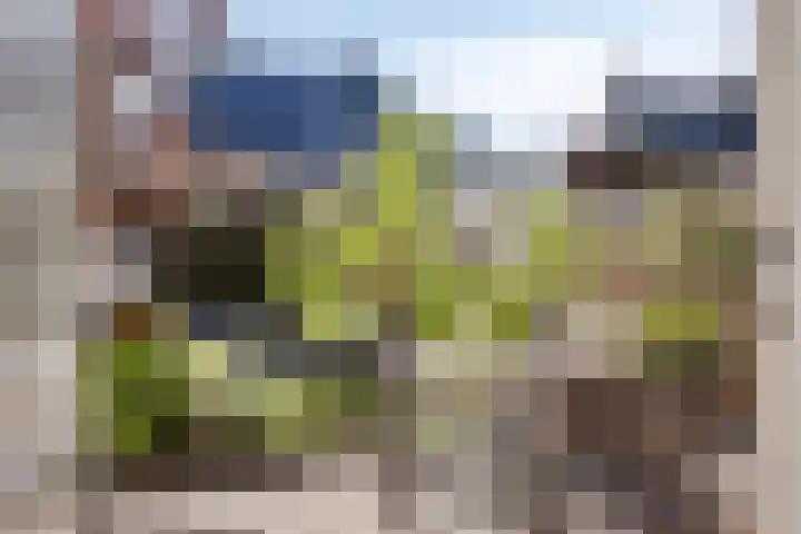 Monnikenstraat 19 IJsselmuiden thumbnail 33