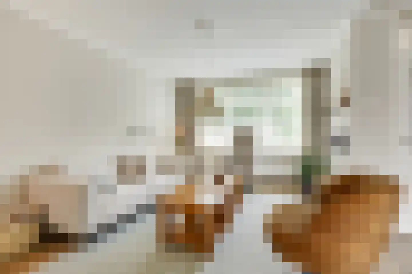 Monnikenstraat 21 Gaanderen thumbnail 12