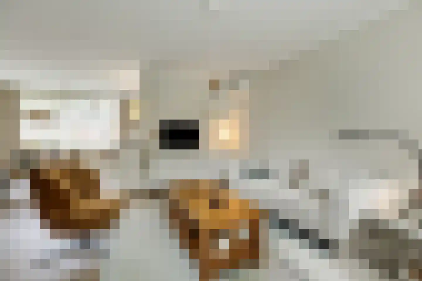 Monnikenstraat 21 Gaanderen thumbnail 14