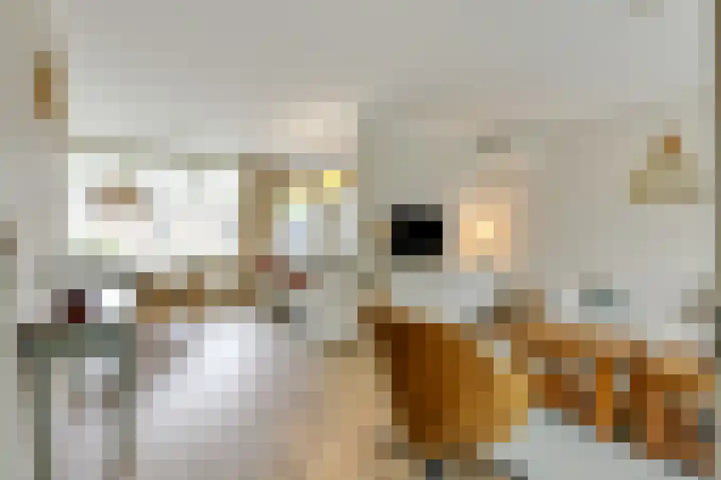 Monnikenstraat 21 Gaanderen thumbnail 15