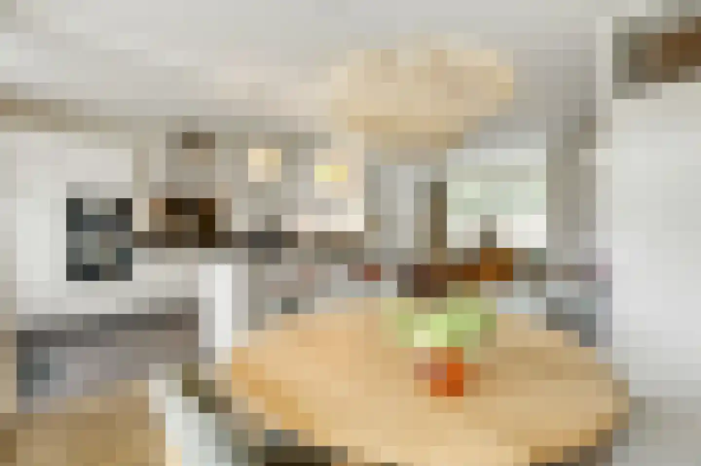 Monnikenstraat 21 Gaanderen thumbnail 19