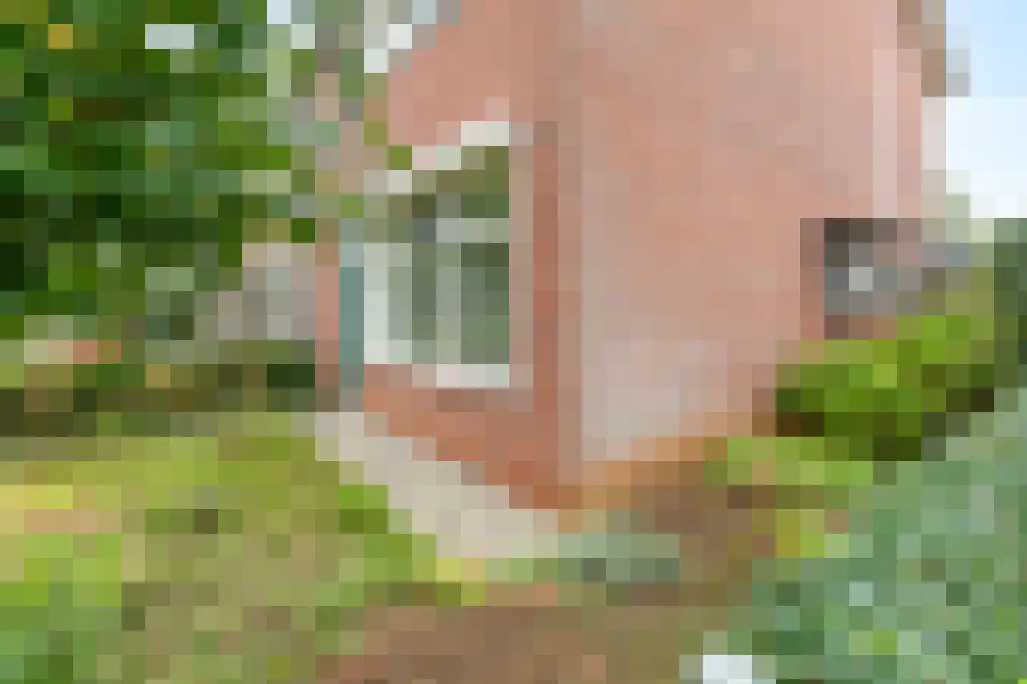 Monnikenstraat 21 Gaanderen thumbnail 34