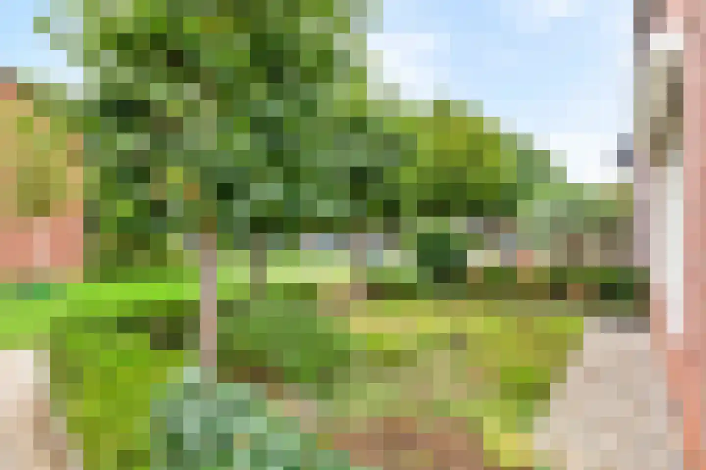 Monnikenstraat 21 Gaanderen thumbnail 35