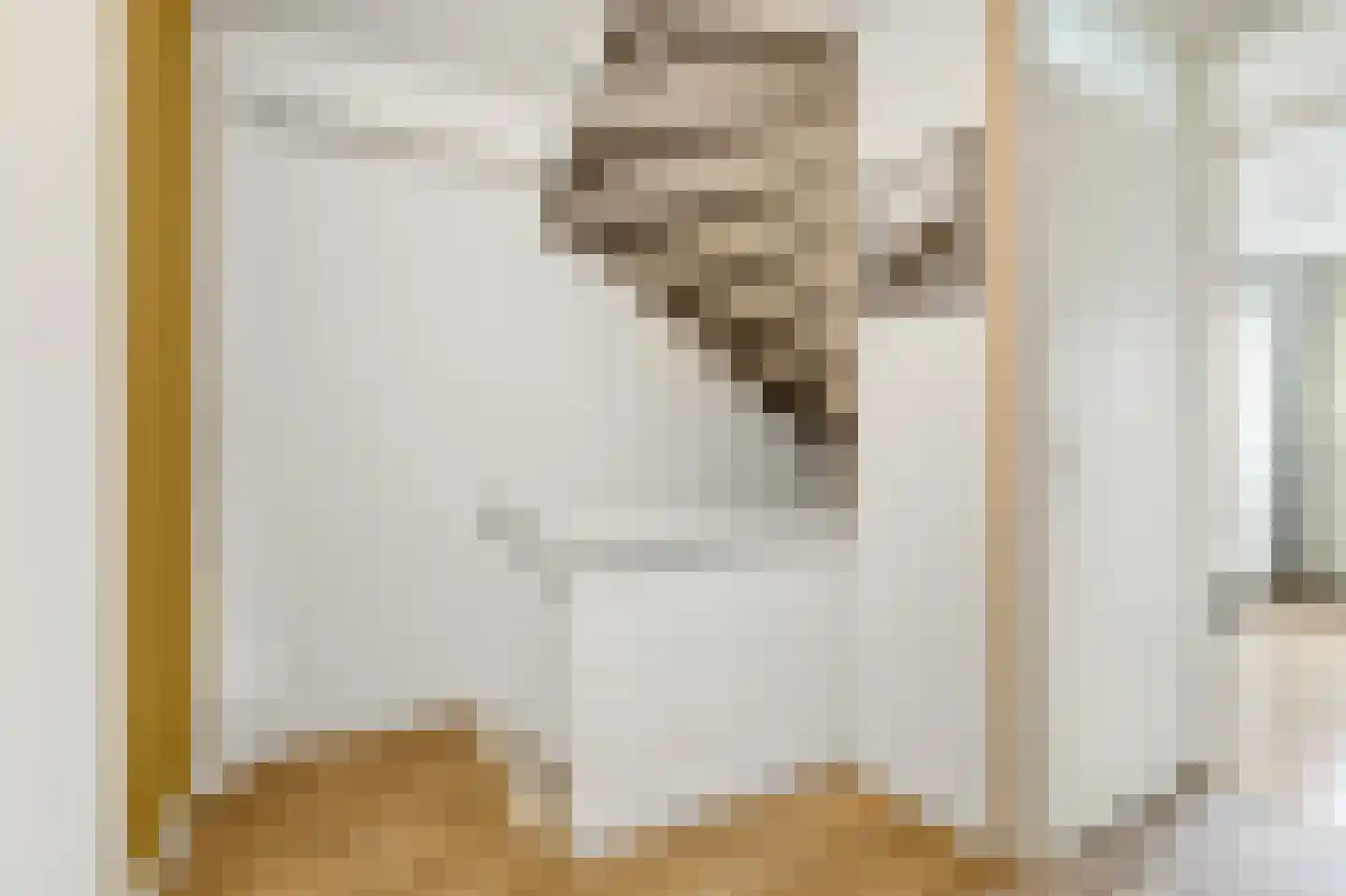 Monnikenstraat 21 Gaanderen thumbnail 37