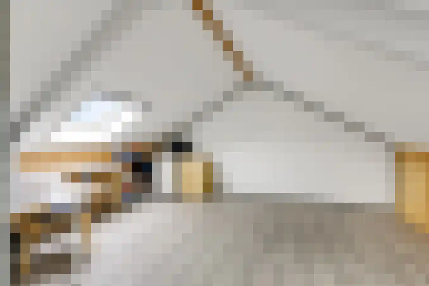 Monnikenstraat 21 Gaanderen thumbnail 48