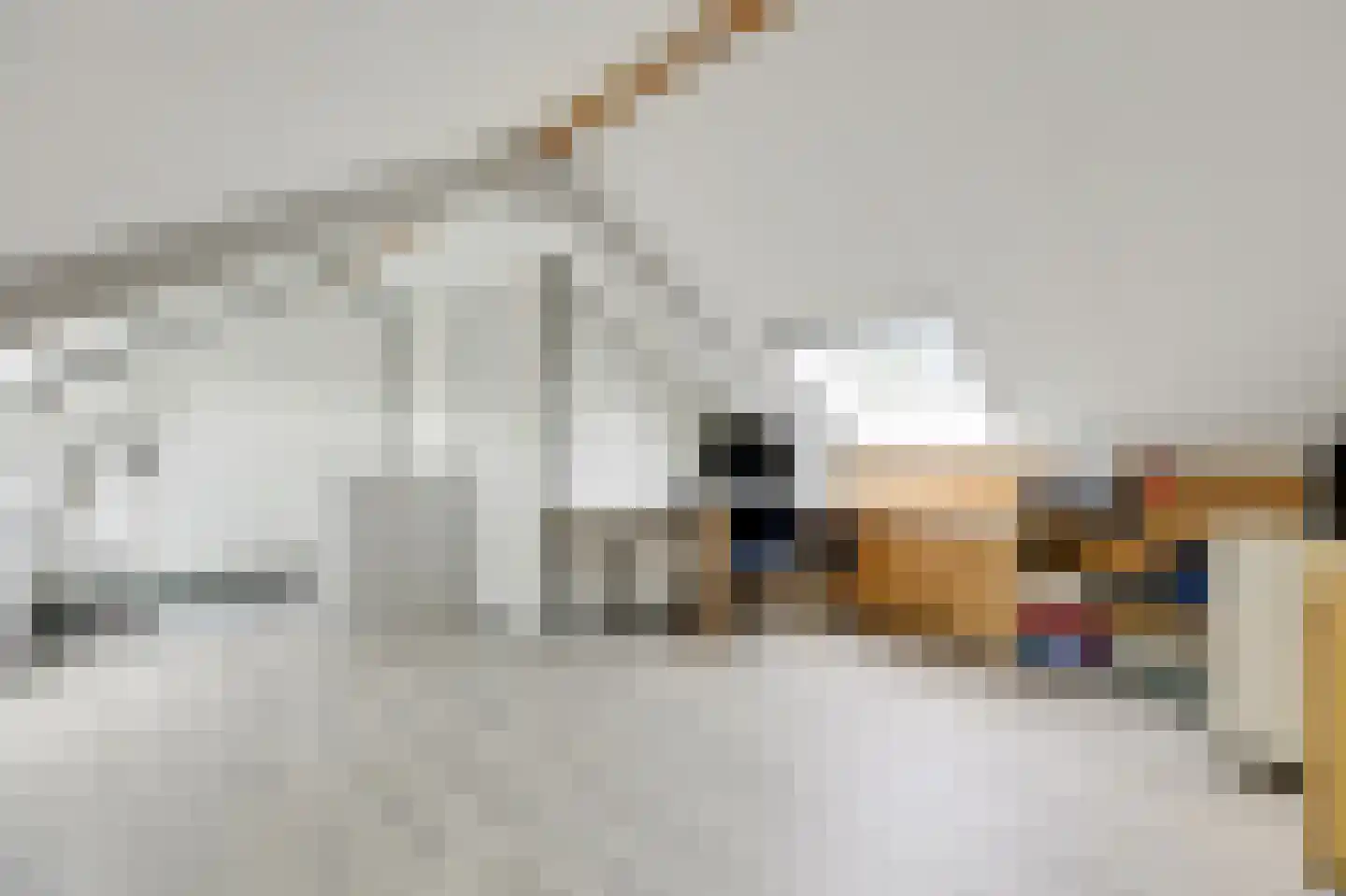 Monnikenstraat 21 Gaanderen thumbnail 49