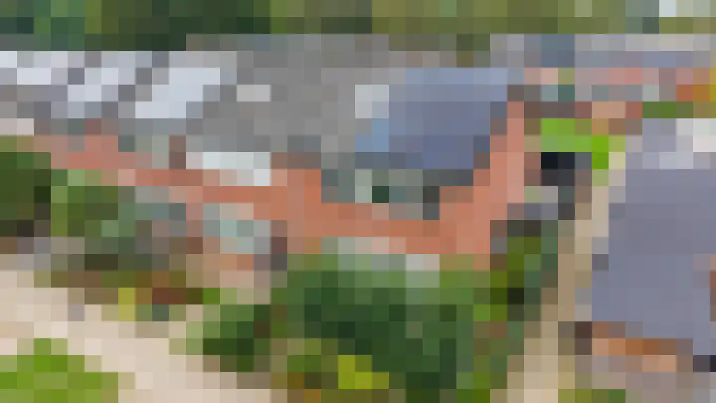 Monnikenstraat 21 Gaanderen thumbnail 5