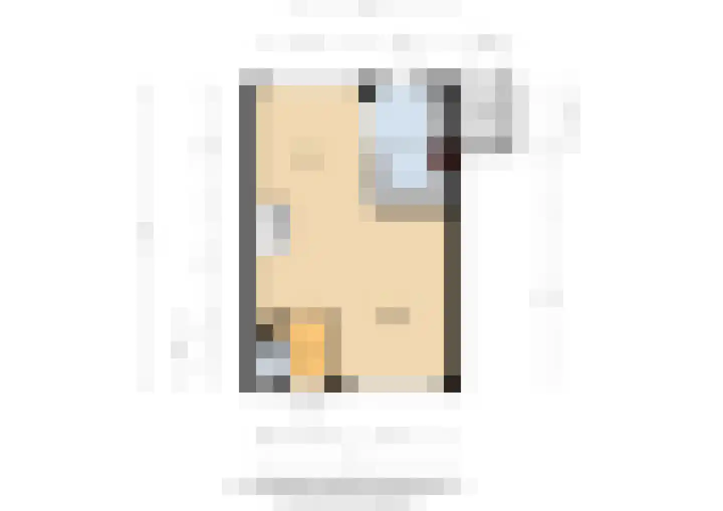 Monnikenstraat 21 Gaanderen thumbnail 58
