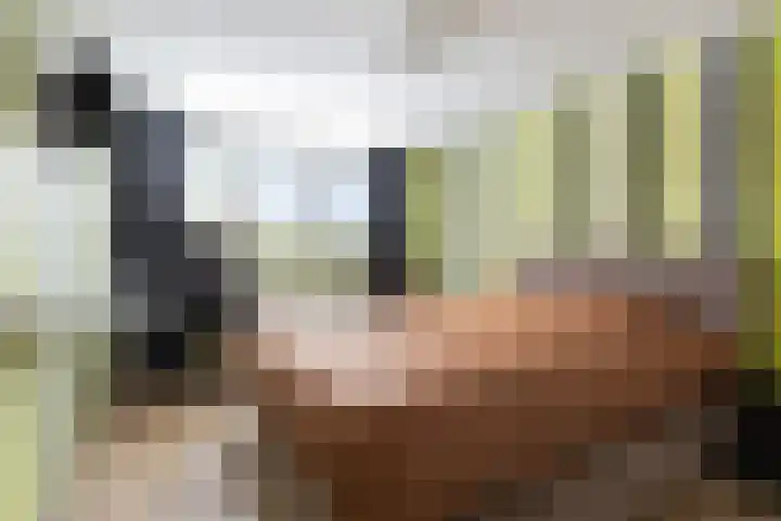 Monnikenstraat 28 Gaanderen thumbnail 22