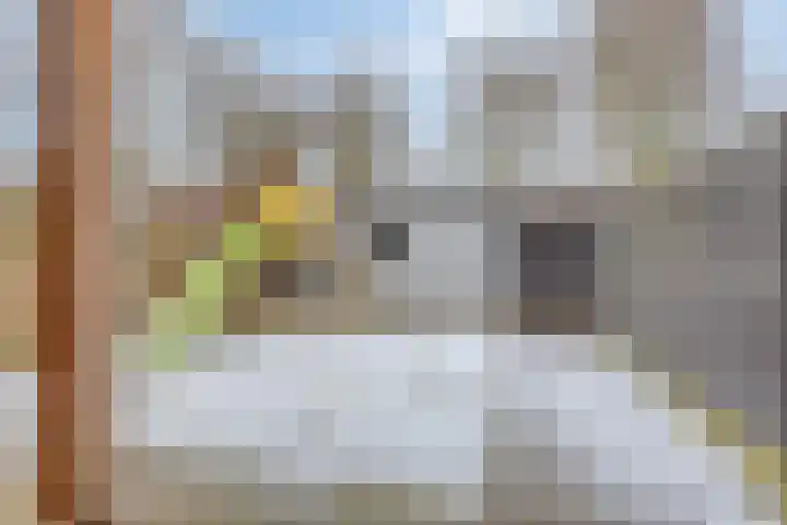 Monnikenstraat 28 Gaanderen thumbnail 35
