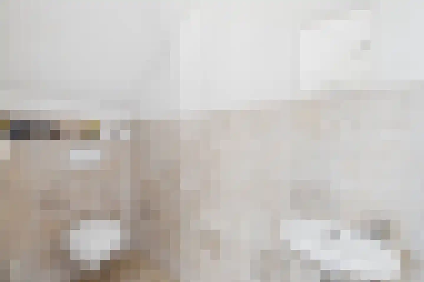 Monnikenstraat 3 Kloosterzande thumbnail 10