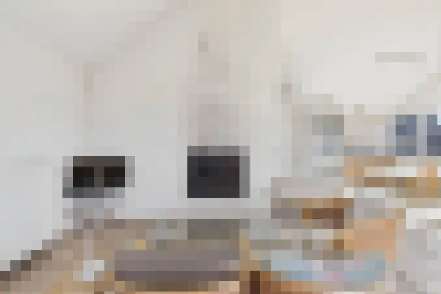 Monnikenstraat 3 Kloosterzande thumbnail 19