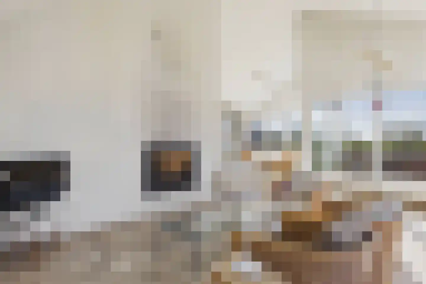 Monnikenstraat 3 Kloosterzande thumbnail 20