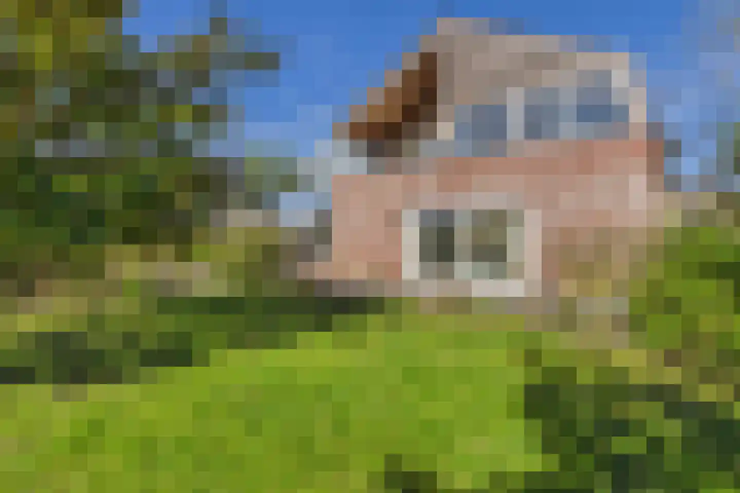Monnikenstraat 3 Kloosterzande thumbnail 33