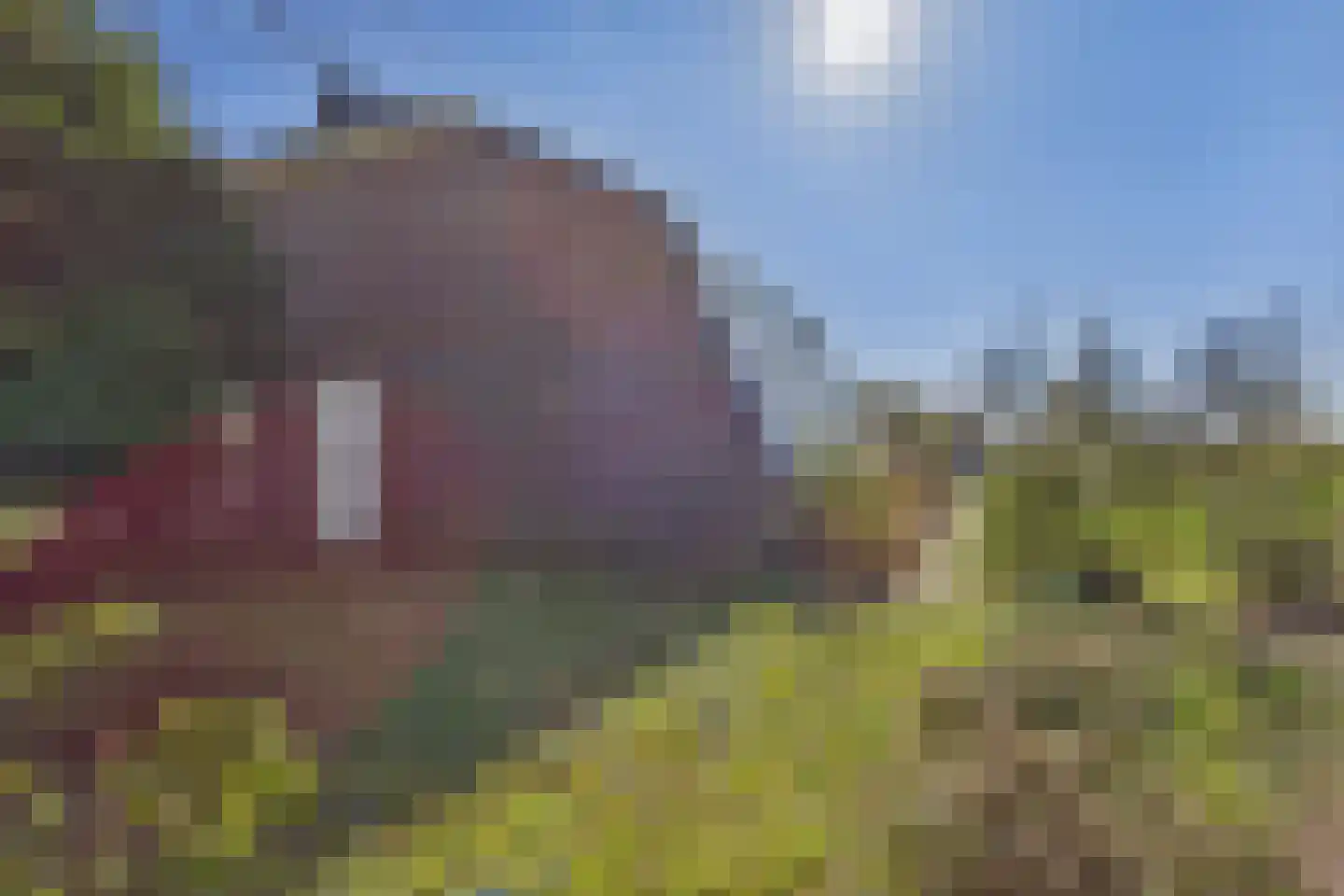 Monnikenstraat 3 Kloosterzande thumbnail 38