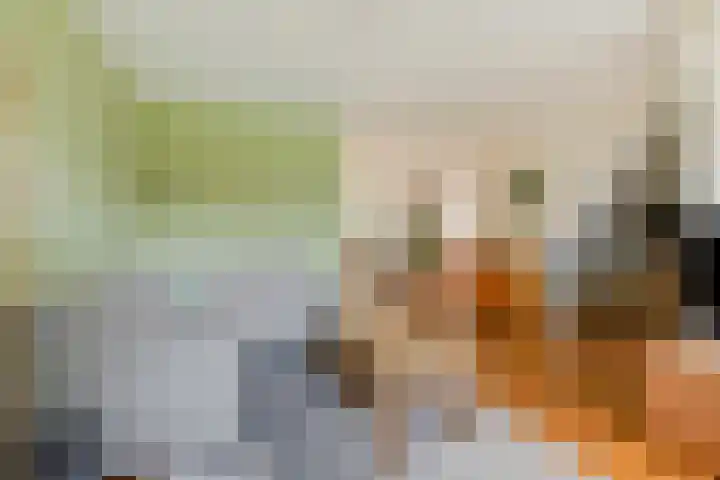 Monnikenstraat 38 Gaanderen thumbnail 10