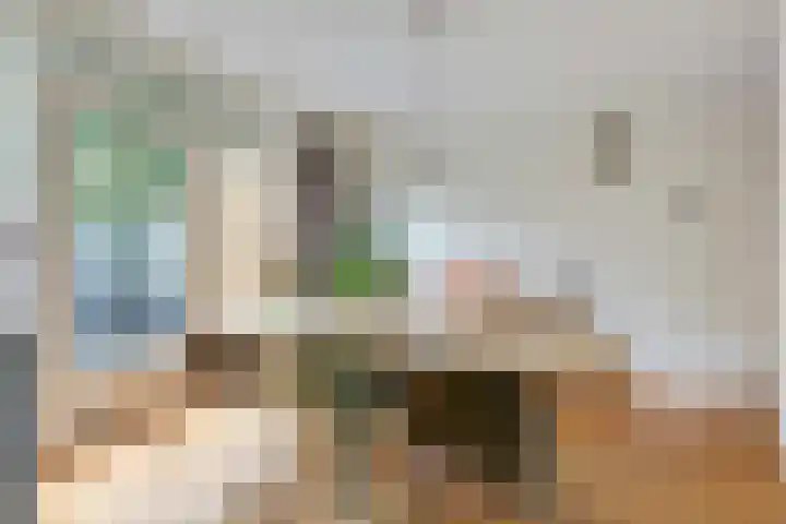 Monnikenstraat 38 Gaanderen thumbnail 13