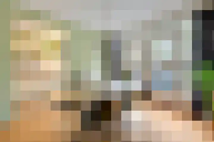 Monnikenstraat 38 Gaanderen thumbnail 14