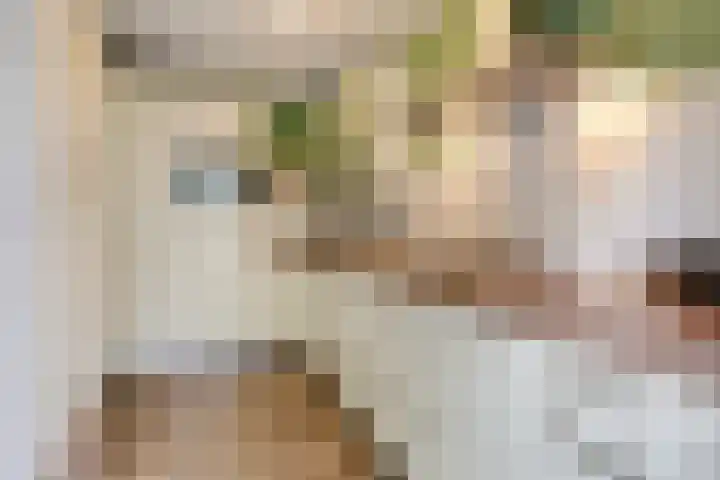 Monnikenstraat 38 Gaanderen thumbnail 16