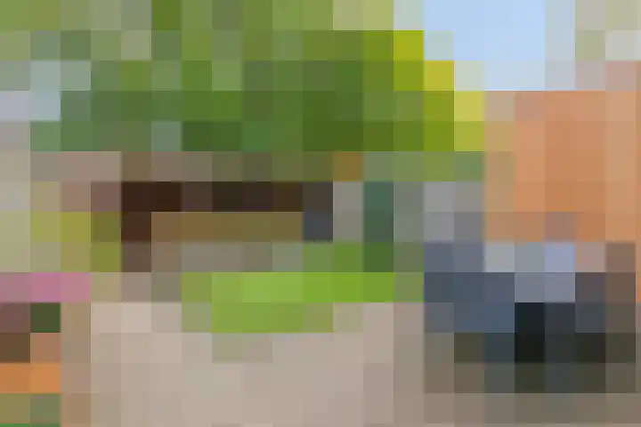 Monnikenstraat 38 Gaanderen thumbnail 19