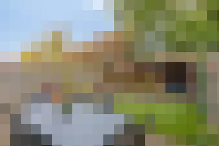 Monnikenstraat 38 Gaanderen thumbnail 20