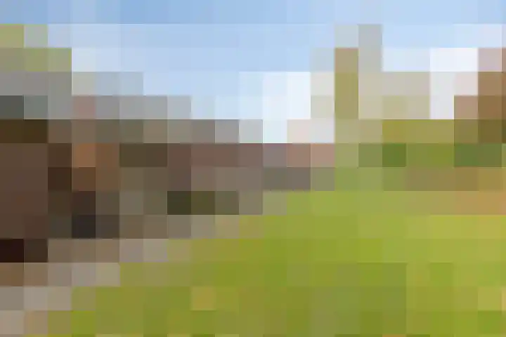 Monnikenstraat 38 Gaanderen thumbnail 23