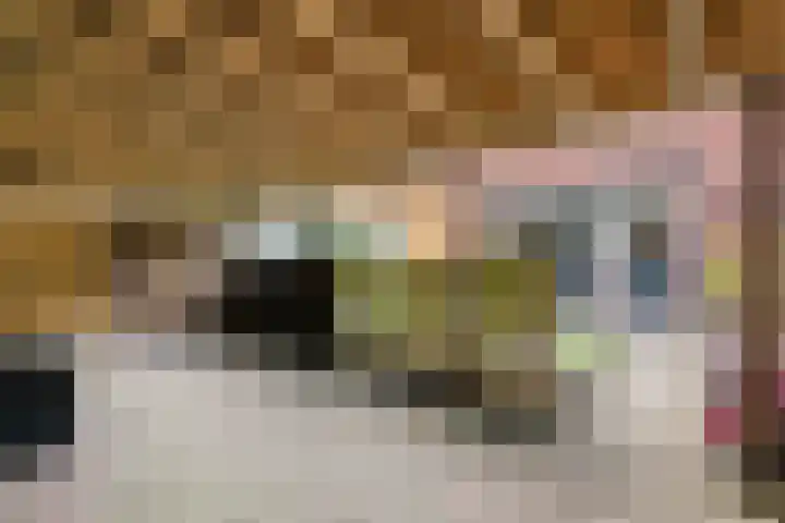 Monnikenstraat 38 Gaanderen thumbnail 24