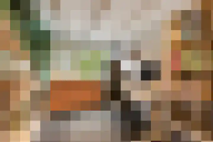 Monnikenstraat 38 Gaanderen thumbnail 47