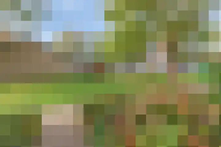 Monnikenstraat 38 Gaanderen thumbnail 51