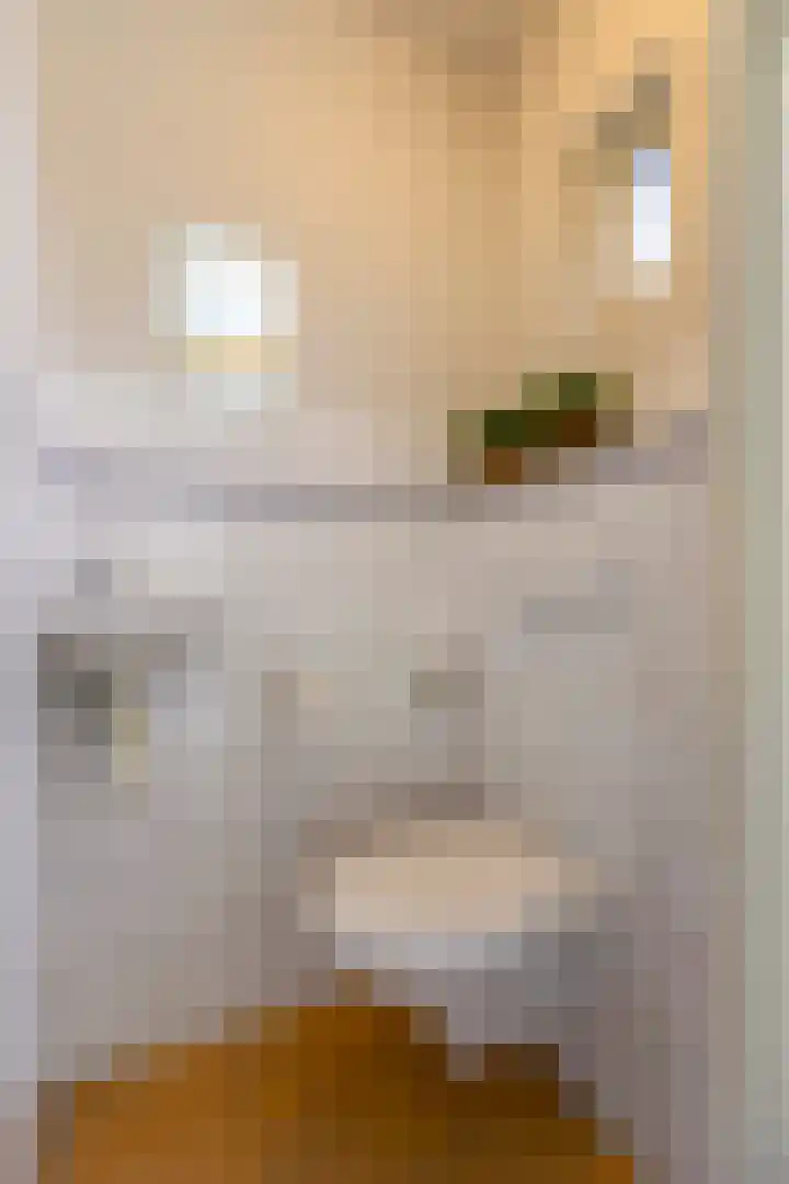 Monnikenstraat 38 Gaanderen thumbnail 6