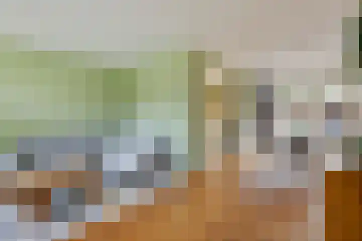 Monnikenstraat 38 Gaanderen thumbnail 7