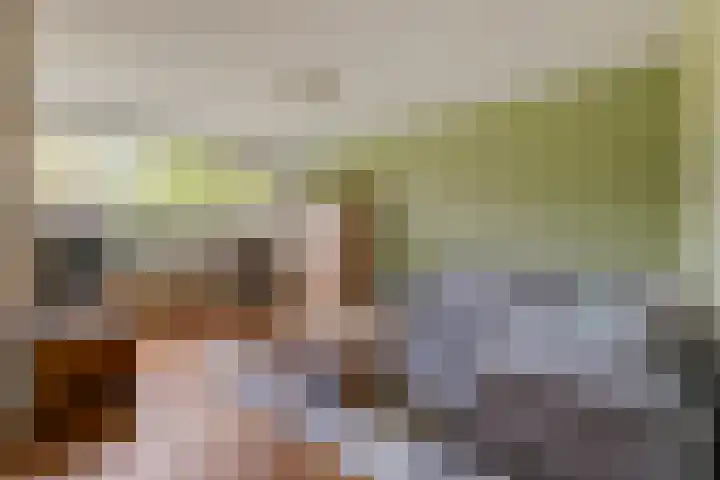 Monnikenstraat 38 Gaanderen thumbnail 8