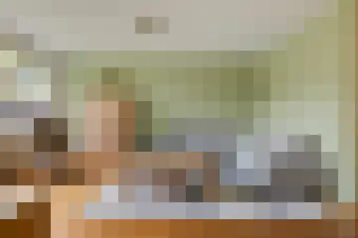 Monnikenstraat 38 Gaanderen thumbnail 9