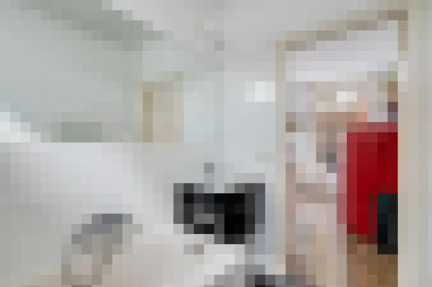 Monnikenstraat 6 Amsterdam thumbnail 12