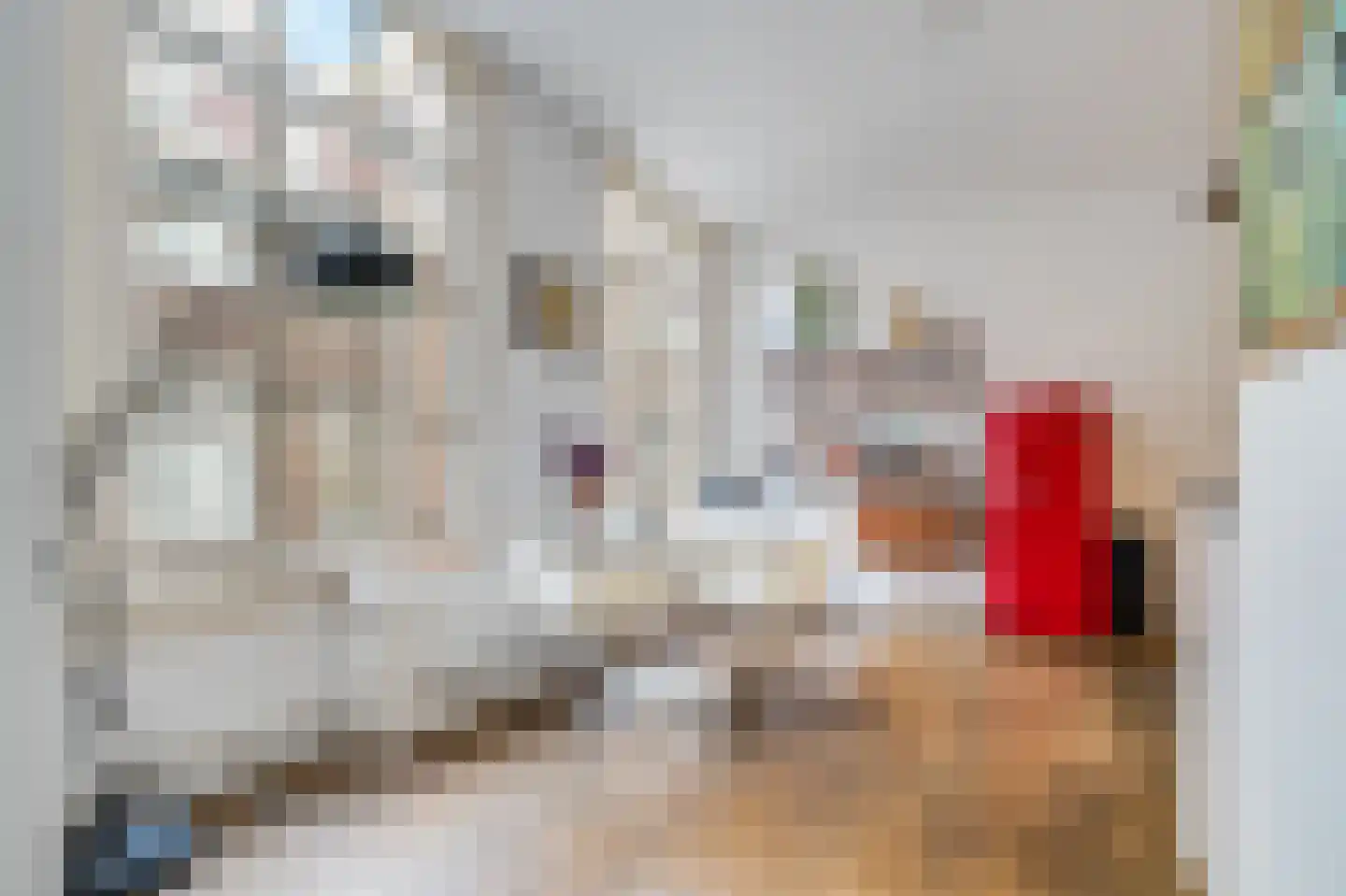 Monnikenstraat 6 Amsterdam thumbnail 4